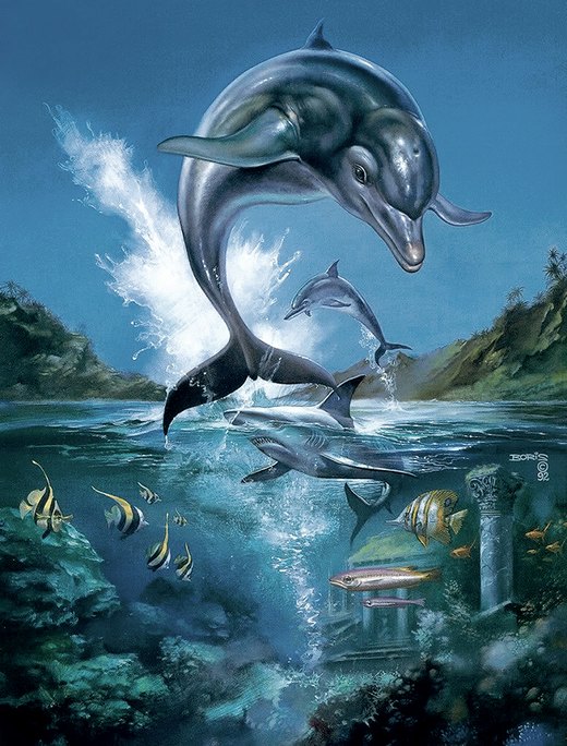 Ecco the Dolphin box art