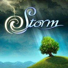 Storm box art