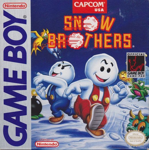 Snow Brothers box art