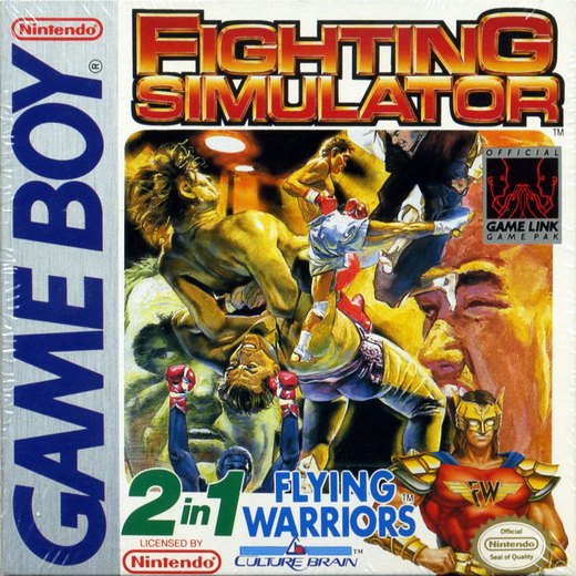 Fighting Simulator 2-in-1: Flying Warriors box art