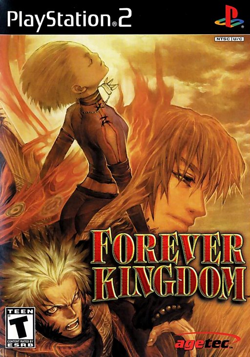 Forever Kingdom box art