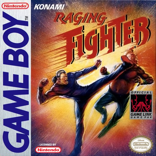 Raging Fighter box art