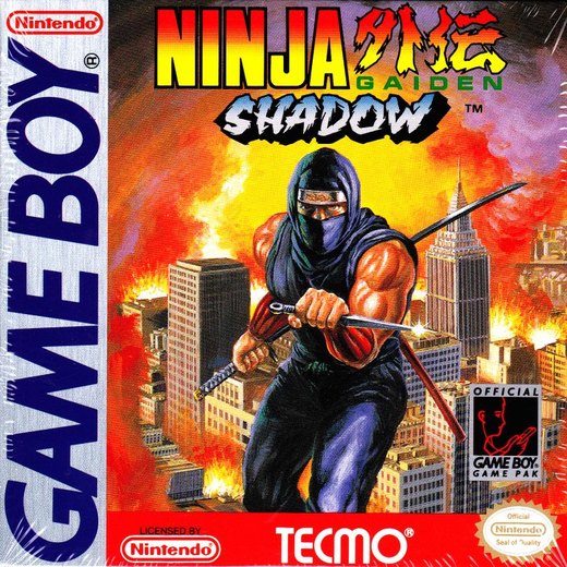 Ninja Gaiden Shadow box art