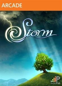 Storm box art