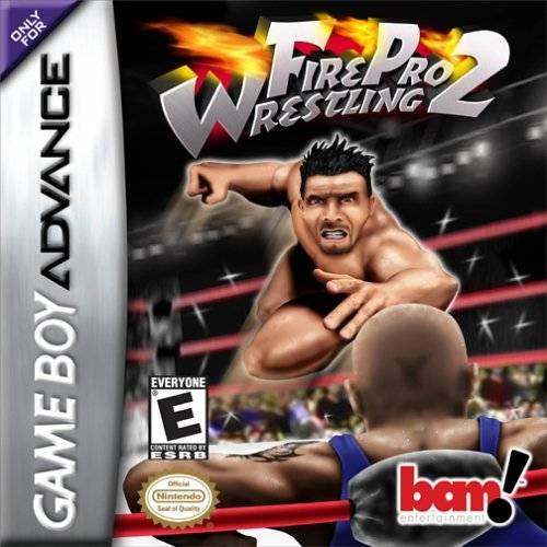 Fire Pro Wrestling 2 box art