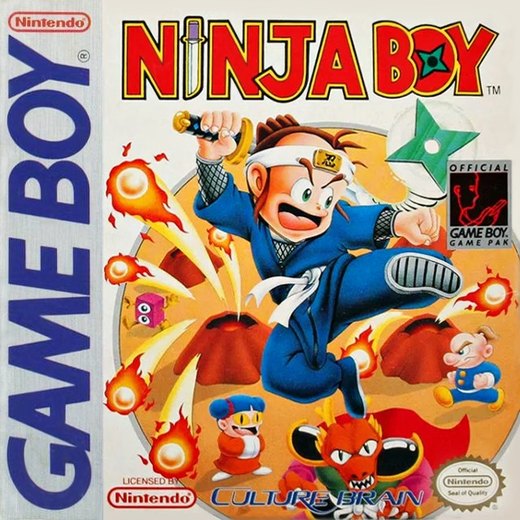 Ninja Boy box art