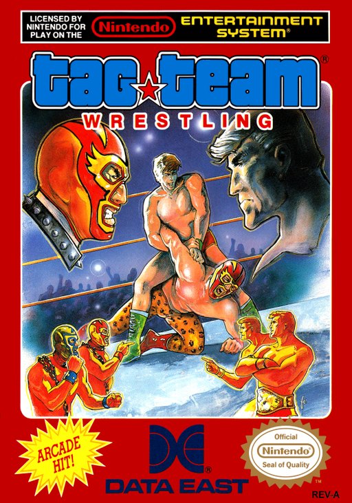Tag Team Wrestling box art