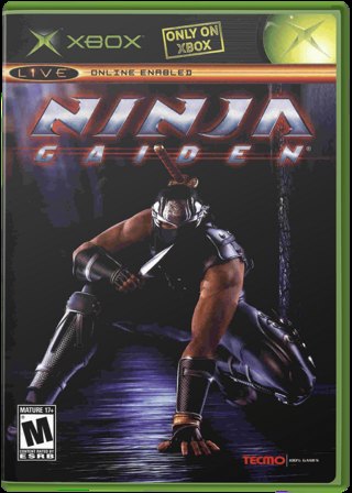 Ninja Gaiden box art