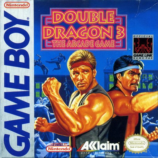 Double Dragon 3: The Arcade Game box art